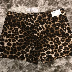 Cheetah Print Shorts